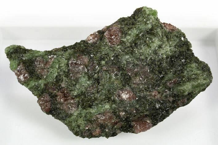 Pyrope, Forsterite, Diopside & Omphacite Association - Norway #309766